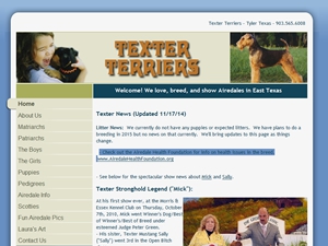 texter-terriers